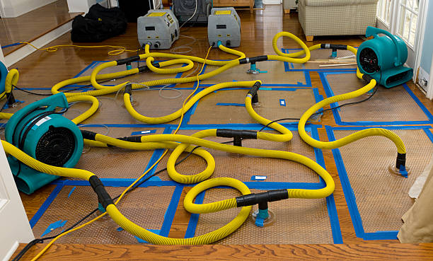 Professional Structural Drying And Dehumidification technician working in Saint Louisville, OH